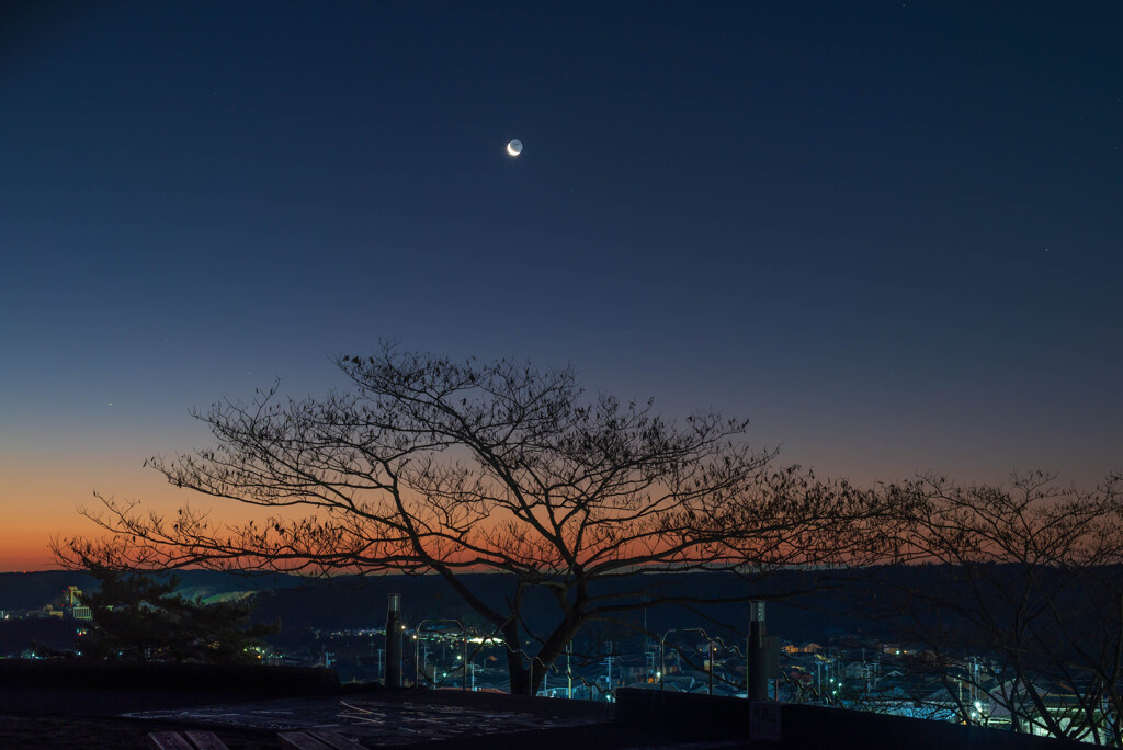 新月前の三日月に地球照を添えて・・・