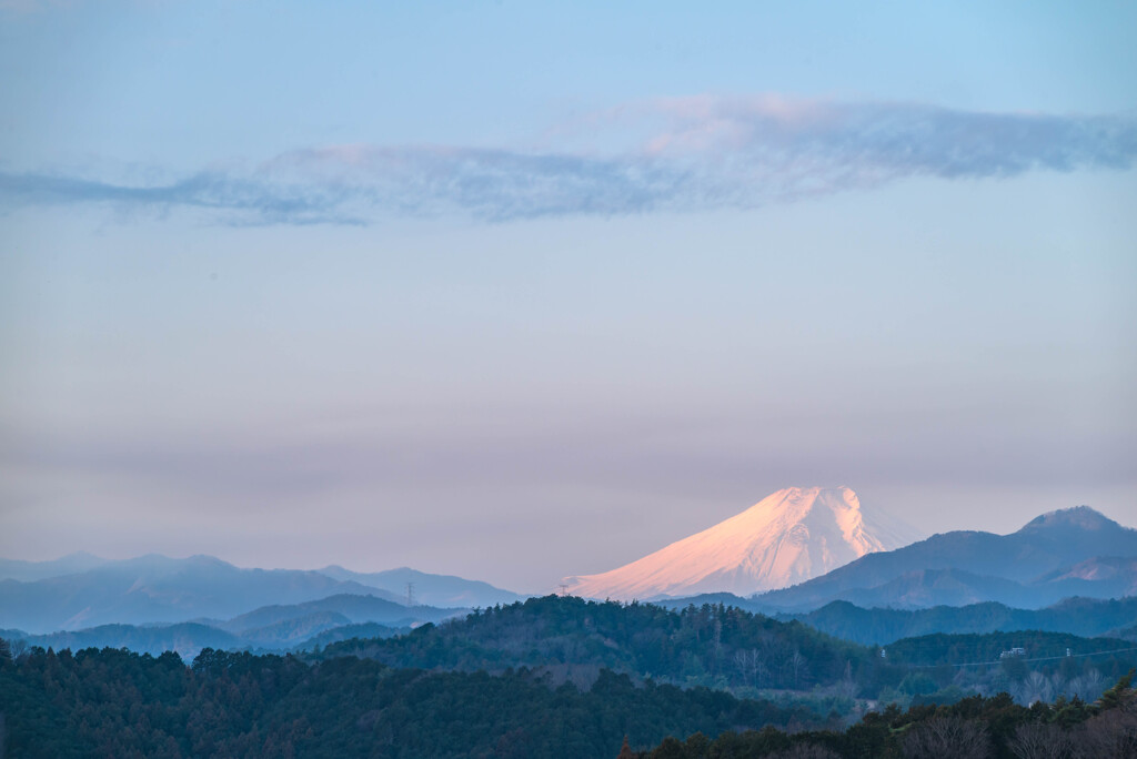 泳ぐものは・・・