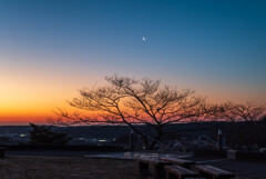 新月まで三日の月と・・・