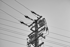 DP3M3743