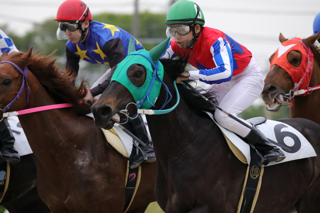 競馬04