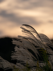 夕暮れ