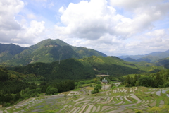 丸山千枚田02