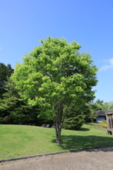 森林公園01