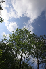 森林公園04