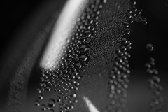 水と光