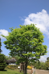 森林公園02