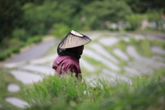 ご苦労様です02