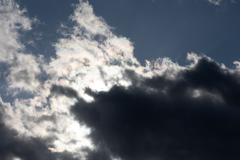 雲