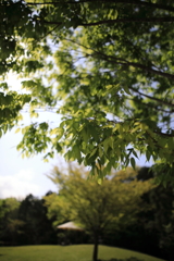 森林公園03