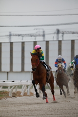 競馬01