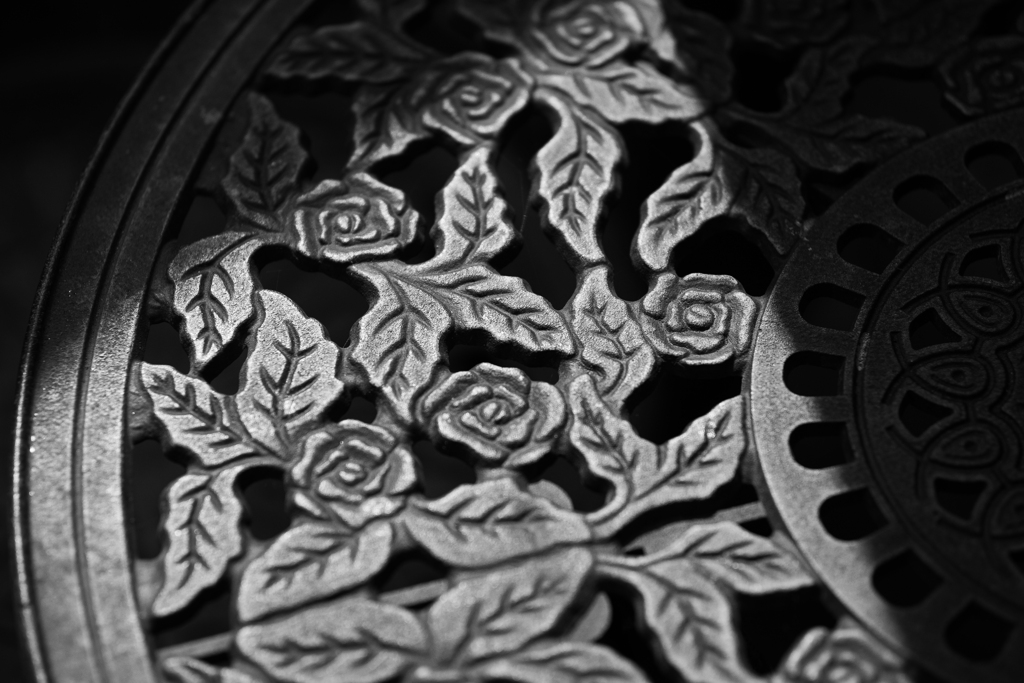薔薇01