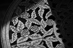 薔薇01
