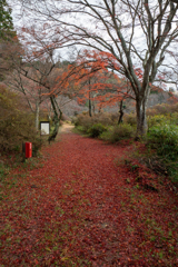 山を散策05