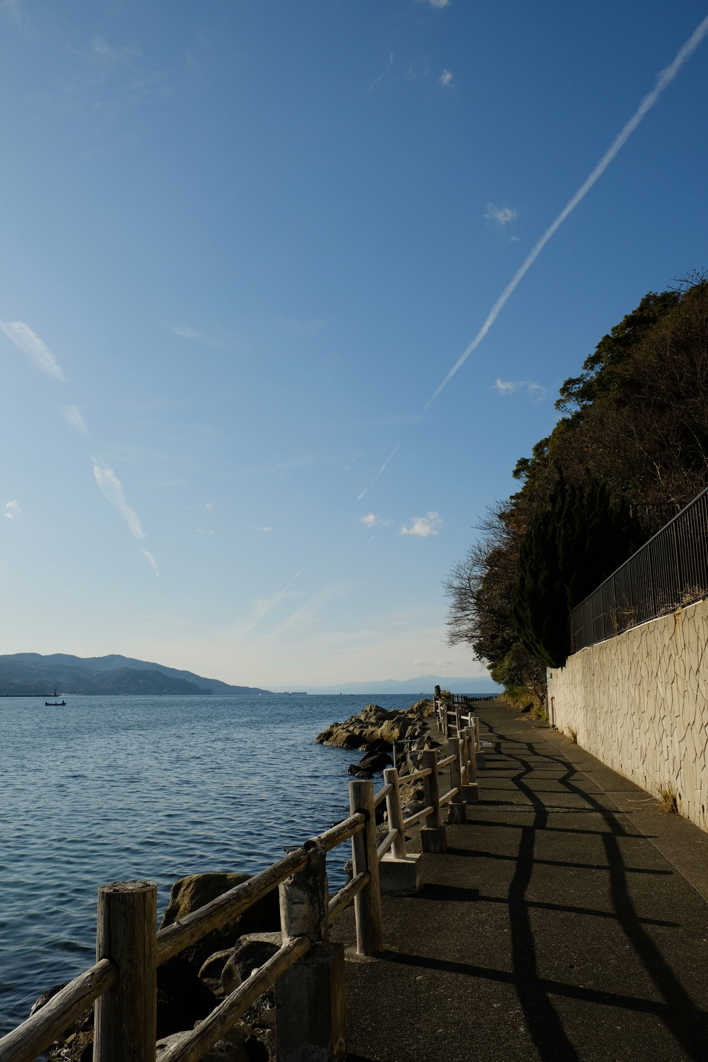 淡島