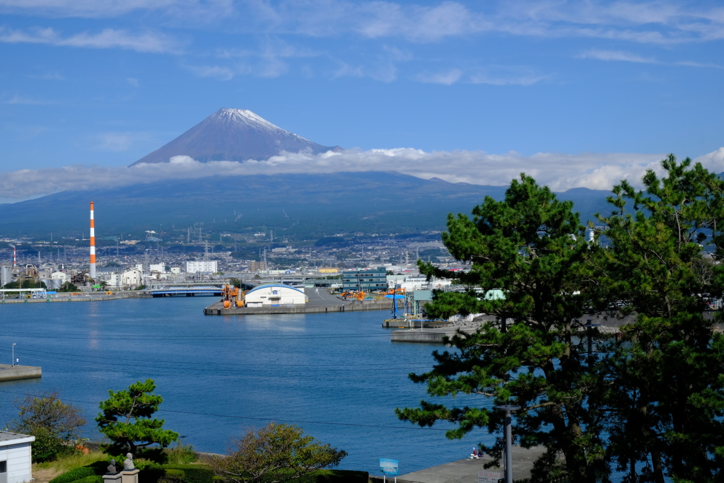 東田子の浦からの富士山