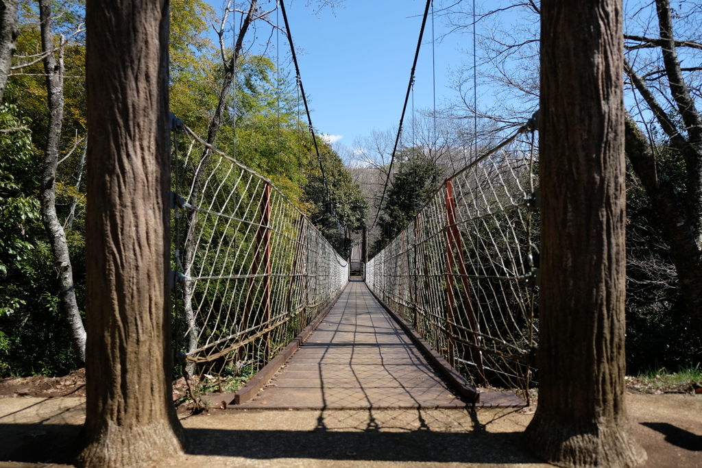 吊り橋渡れ