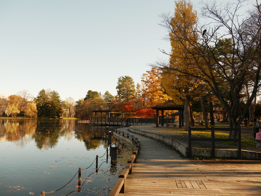 常盤公園散策2