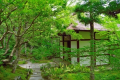 京都緑の世界