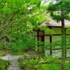 京都緑の世界