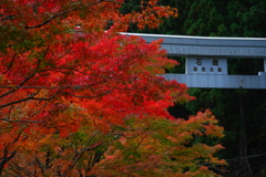 燃える石鎚