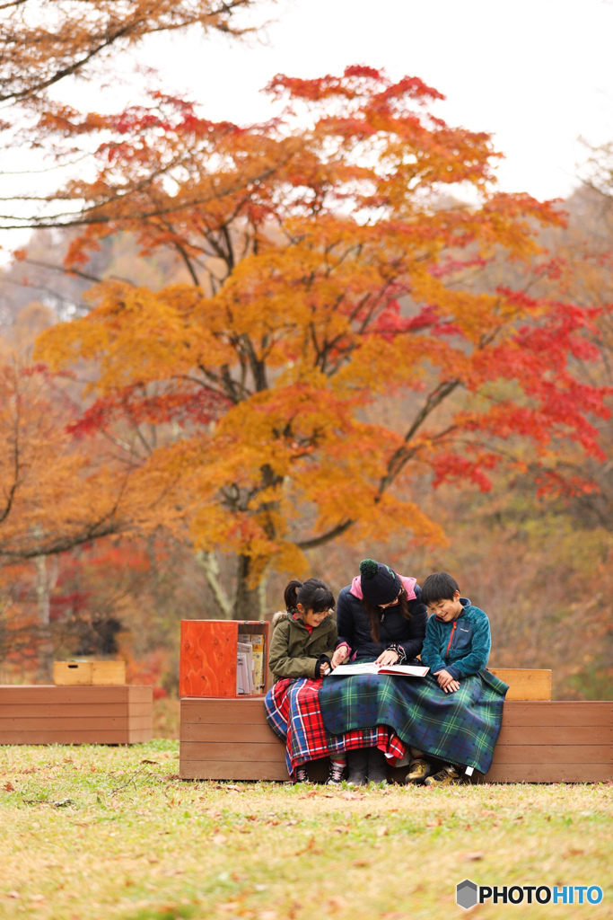 紅葉図書館
