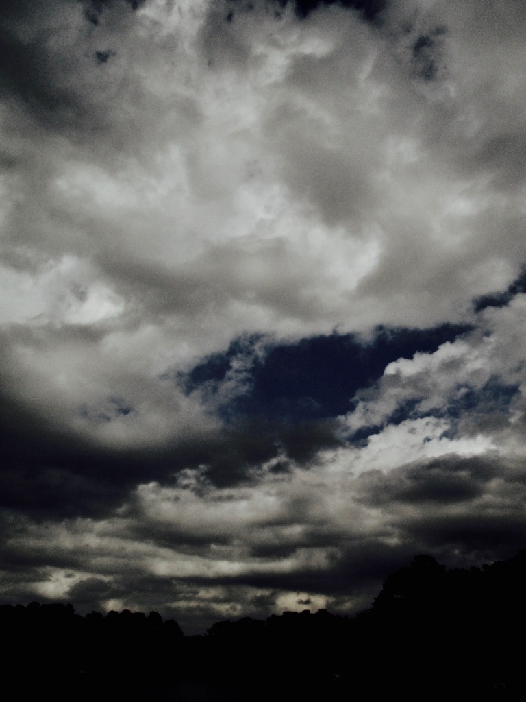洗足池の空