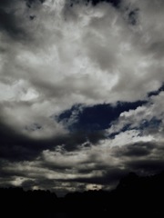 洗足池の空