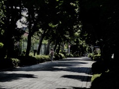 用賀から砧公園への「いらか道」