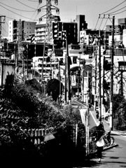 モノクロで伝わる暑さ