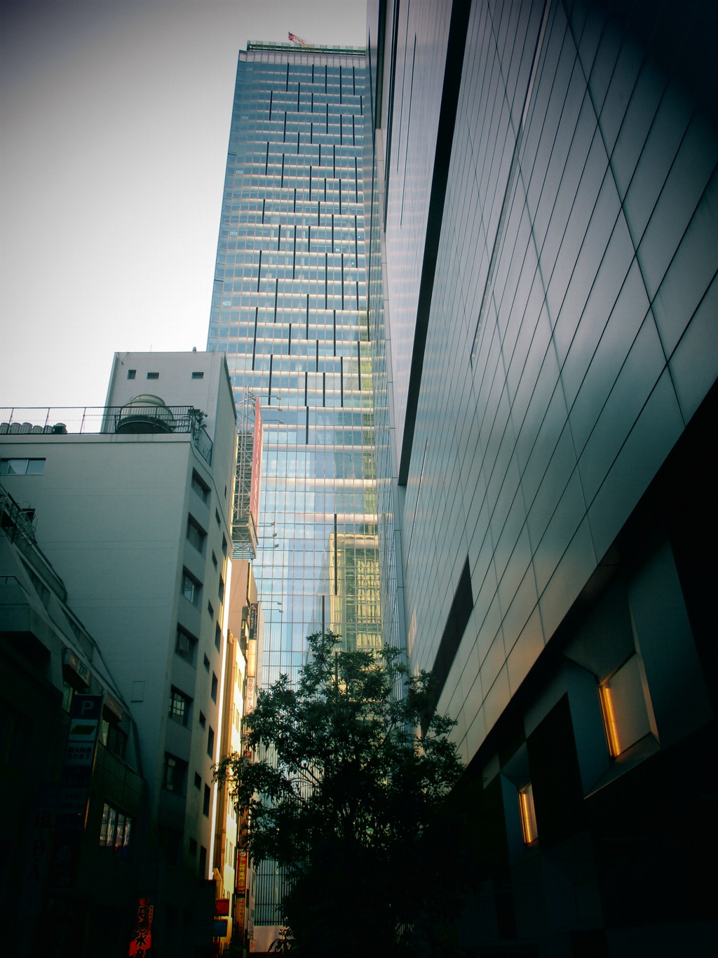 見上げる渋谷