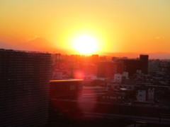 太陽にほえろ