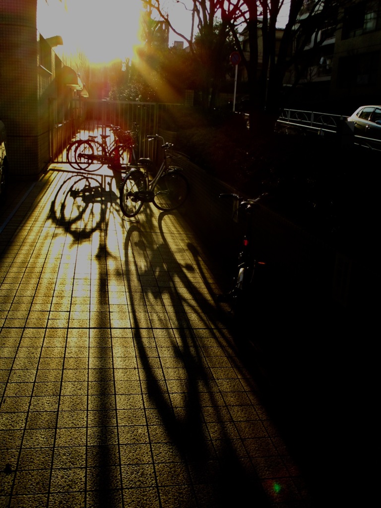 夕陽と自転車