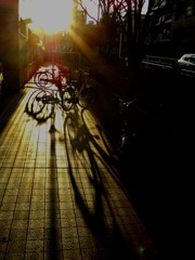 夕陽と自転車