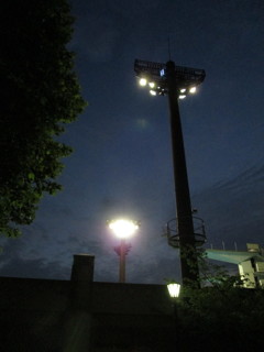 闇夜を照らす