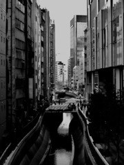 春の小川　渋谷川