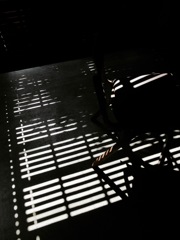 格子戸