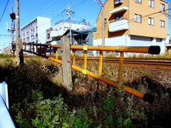 ハシゴを外されないように…と年頭宣言