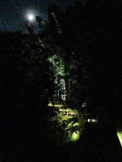 月夜