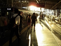 夕日の中の池上線