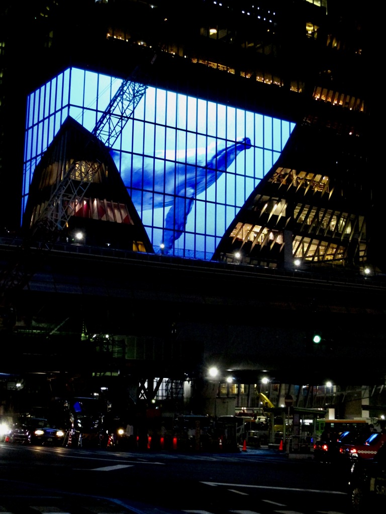 渋谷の夜の巨大鯨水槽