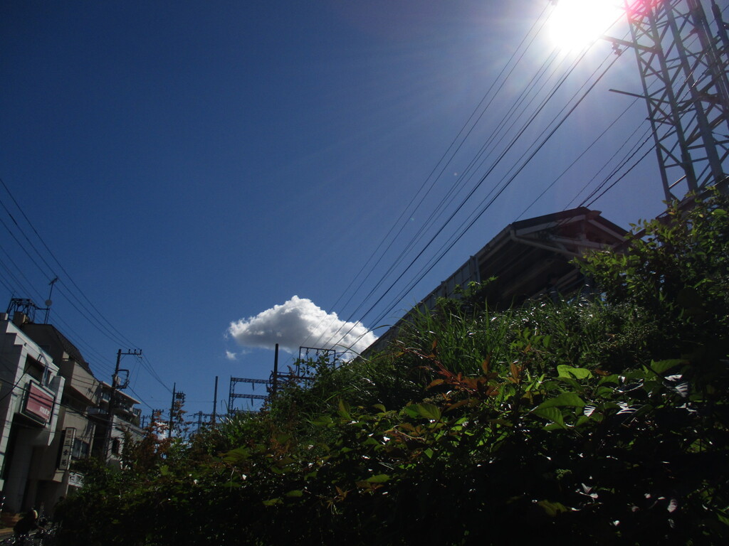 盛夏　池上線