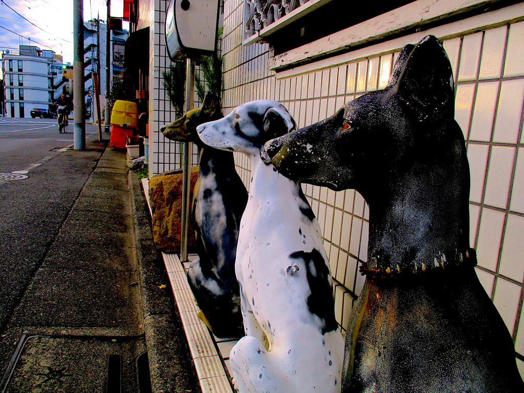 ３匹の忠犬