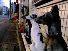 ３匹の忠犬