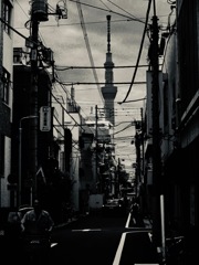 天空の塔をのぞむ