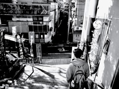 鎮守の森に背を向けて