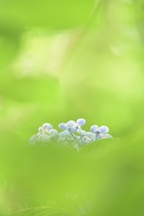 ここにいるよ