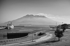 桜島bw