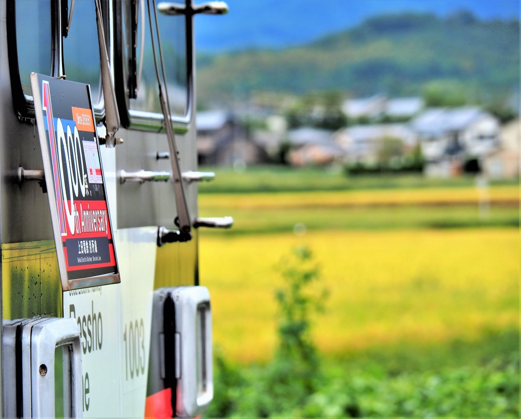 上田の稲穂