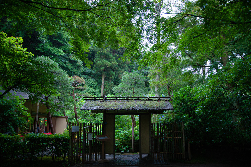 紫陽花寺の一角